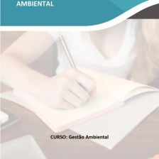 Projeto Integrado Síntese – Gestão Ambiental