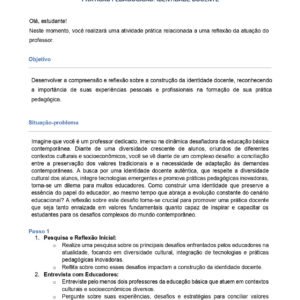Portfólio Práticas Pedagógicas: Identidade Docente