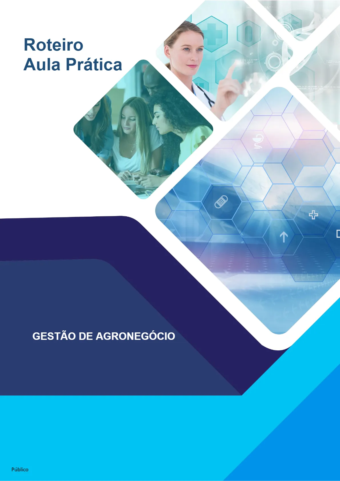 portfolio-aula-pratica-gestao-de-agronegocio.webp